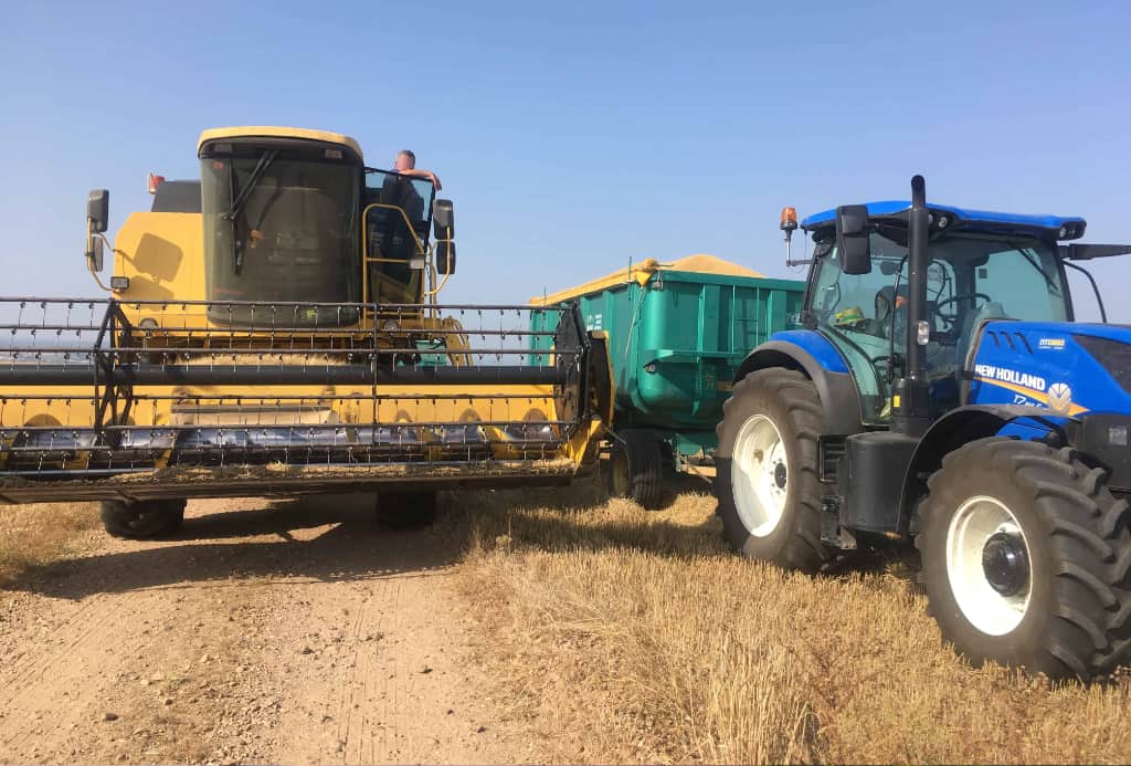 Cosecha profesional de cereal