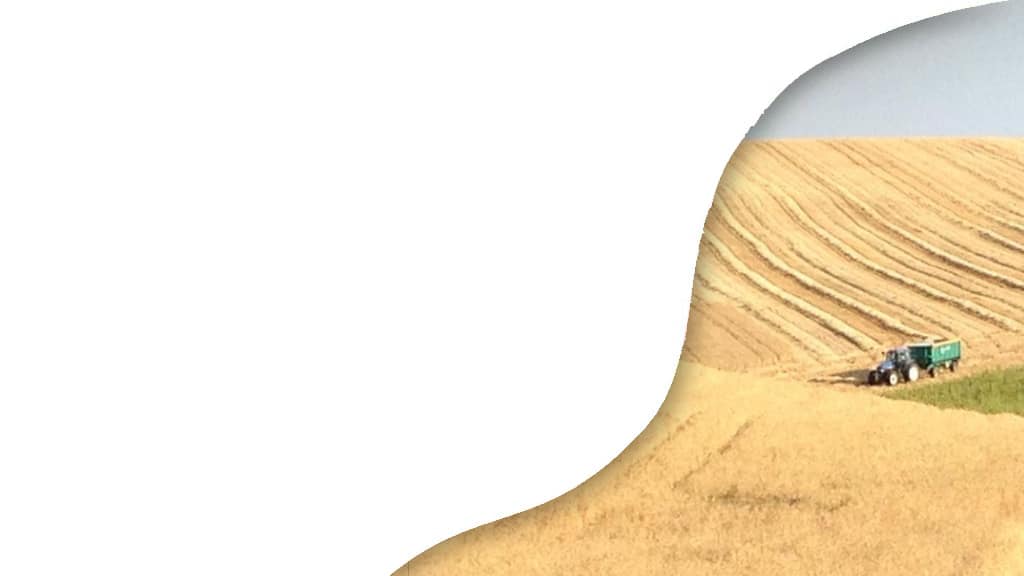 Cultivo profesional del cereal