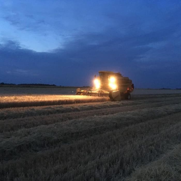 Siega de cebada profesional